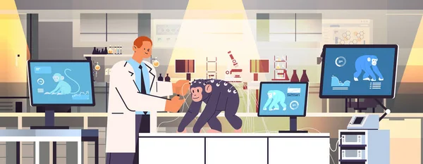Wissenschaftler oder Tierarzt experimentieren im Labor mit experimenteller biologischer gentechnischer Forschung an Affen — Stockvektor