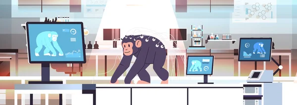 Experimental monkey in modern veterinary clinic or lab analyzing health biological genetic engineering research —  Vetores de Stock
