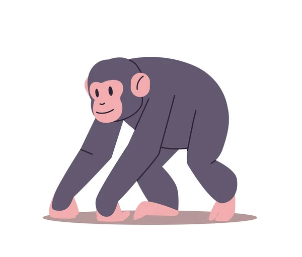 Милый обезьяна смешной тропических животных мультфильм примат — стоковый вектор