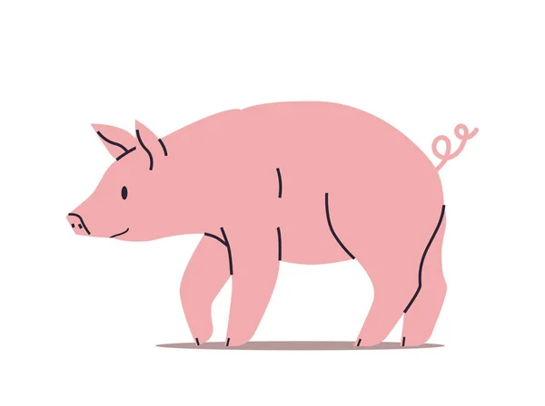 Mignon porc drôle dessin animé animal isolé pleine longueur horizontale — Image vectorielle