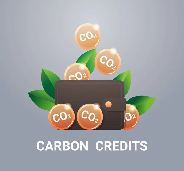 Wallet Co2 Coins Responsibility Co2 Emission Free Trading Carbon Tax — 스톡 벡터