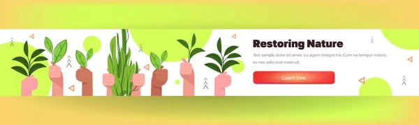 Carbon Credit Concept Hands Holding Green Plants Responsibility Co2 Emission — ストックベクタ