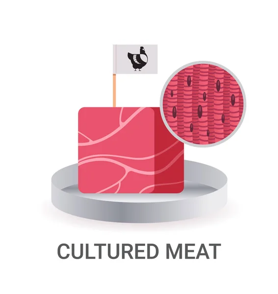 Viande Rouge Crue Cultivée Avec Étiquette Faite Cellules Animales Poulet — Image vectorielle