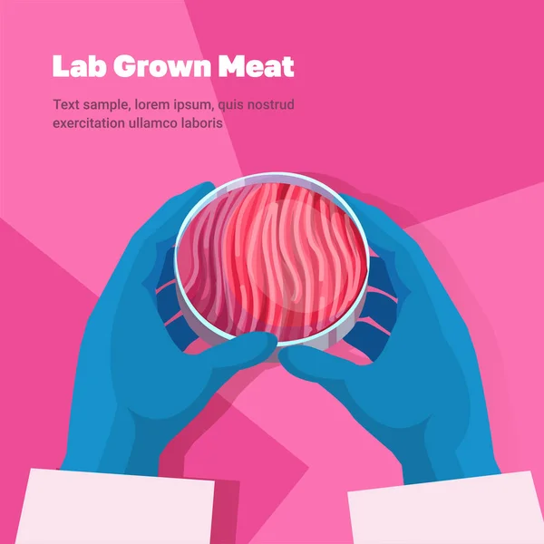 動物細胞から作られた培養赤肉を持つ科学者人工実験室で栽培された肉生産コンセプトコピースペースベクトルイラスト — ストックベクタ