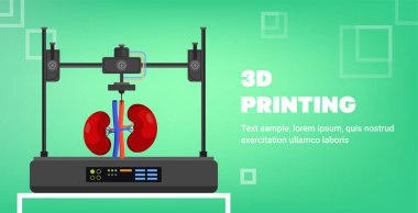 İnsan organ nakli, biyolojik mühendislik biyobasım konsepti yatay fotokopi uzay vektör çizimi üzerinde böbrek modeli baskıları