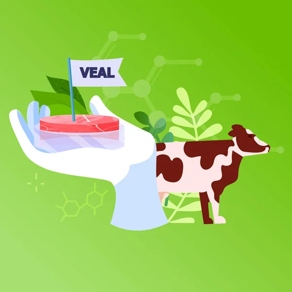 科学家手拿着用动物细胞制成的养殖红小牛肉人工实验室生肉生产概念载体图解 — 图库矢量图片
