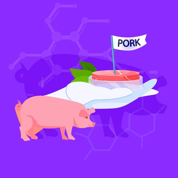 Scientifique Main Tenant Élevage Porc Cru Rouge Fabriqué Partir Cellules — Image vectorielle