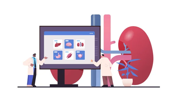 Scientists Examining Anatomical Human Body Internal Organs Monitor Anatomy Medicine — Stockový vektor