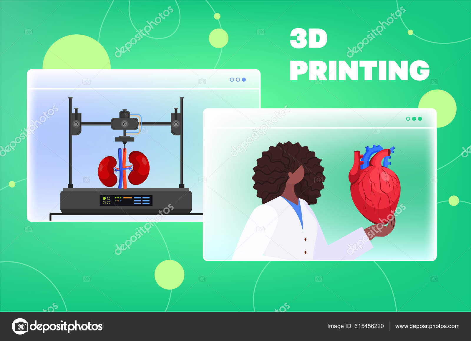 Médico Segurando Órgãos Transplante Humano Rins Coração Modelos