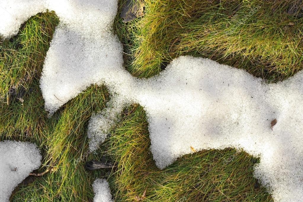 Melting snow in the grass texture