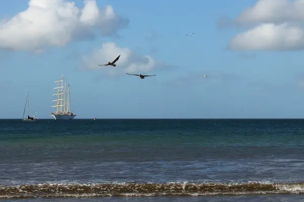 bir yelkenli tekne ile okyanus görmek