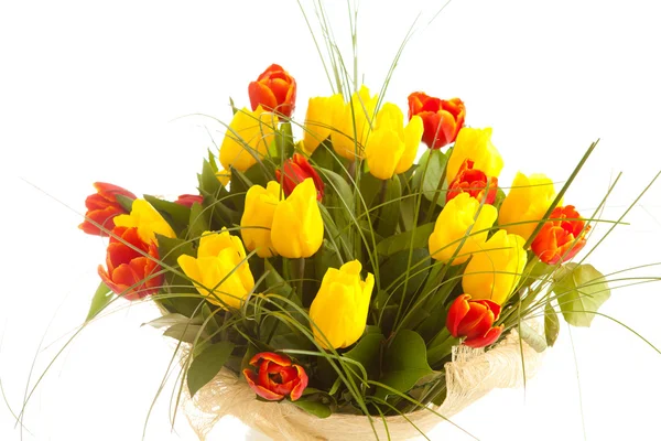 Bouquet tulips , isolated — Stock Photo, Image
