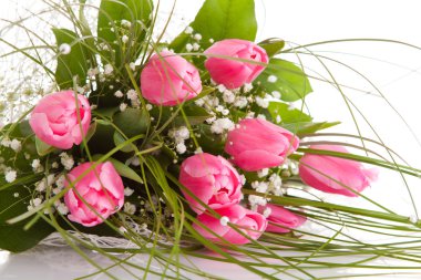 buket laleler, izole