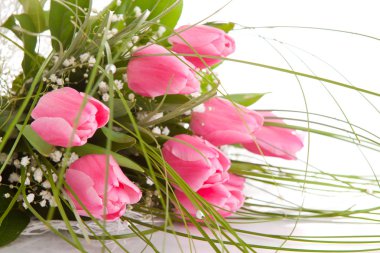 buket laleler, izole