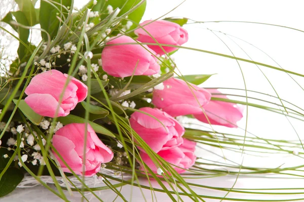Букет тюльпани, ізольовані — стокове фото