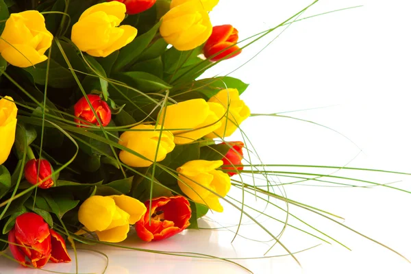 Букет тюльпанов, изолированные — стоковое фото