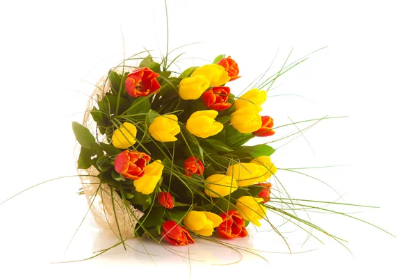 Tulipes de bouquet, isolées — Photo