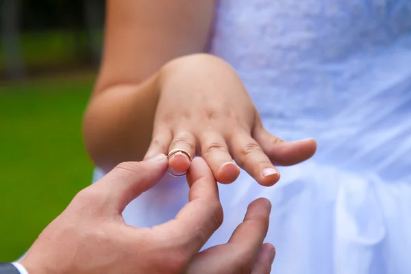 Recém-casados colocar em anéis — Fotografia de Stock