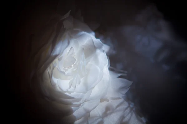 Біла сукня нареченої . — стокове фото