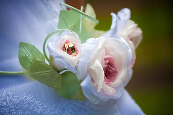 Anéis de casamento — Fotografia de Stock