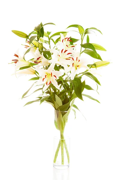 Bukiet kwiatów, na białym tle — Zdjęcie stockowe