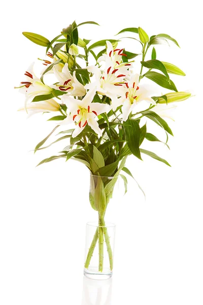 Bouquet flowers , isolated — Stock Photo, Image