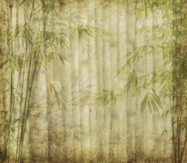 Eski grunge kağıt doku arka planında bambu