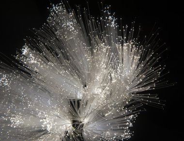 fiber optik ağ kablosu