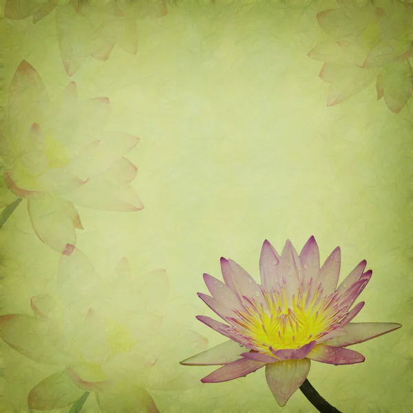 Eski grunge kağıt arka plan üzerinde pembe lotus — Stok fotoğraf