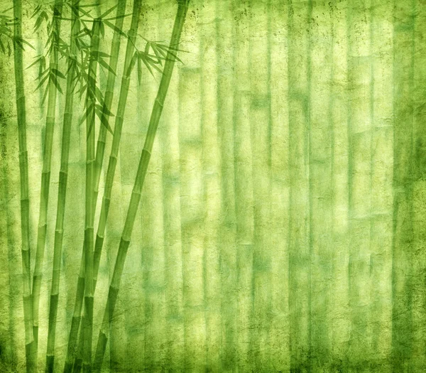 Bamboo on old grunge paper texture background