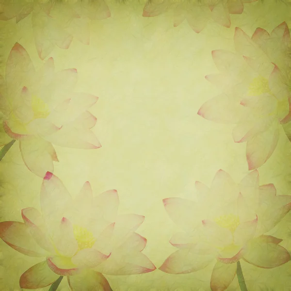 Pink lotus on the old grunge paper background — Stock Photo, Image