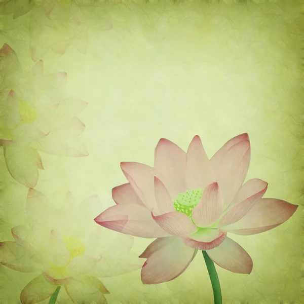 Rosa lotus på gamla grunge paper bakgrunden — Stockfoto