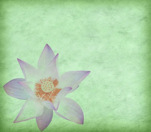 Rosa lotus på gamla grunge paper bakgrunden — Stockfoto