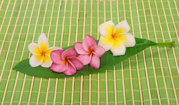 Frangipani e pedra polida em esteira de bambu — Fotografia de Stock