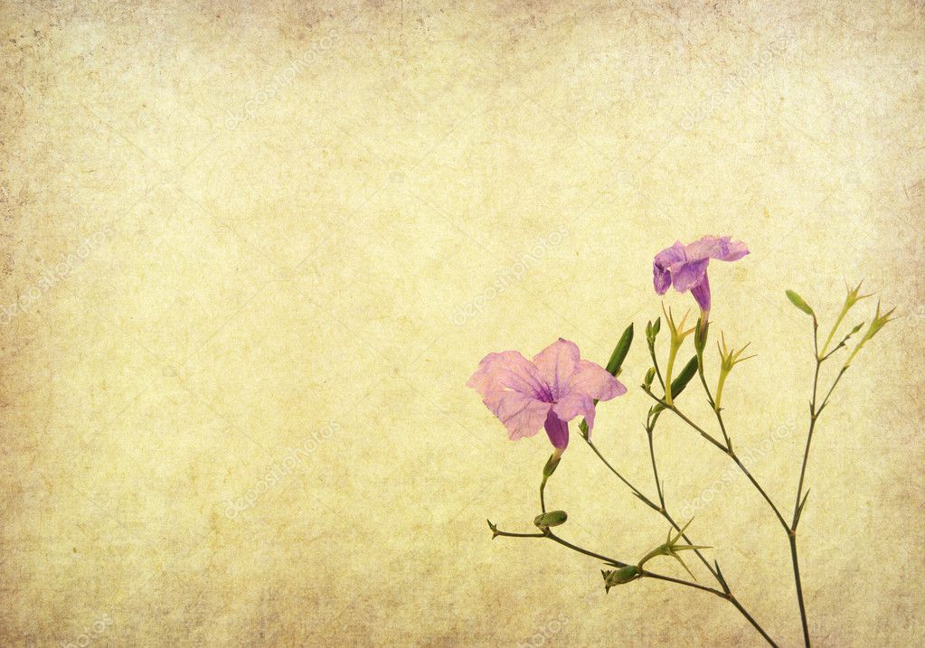 Hoa tím là một tác phẩm nghệ thuật của thiên nhiên với sắc tím tươi sáng và hương thơm dịu ngọt. Nhìn vào hình ảnh hoa tím đầy mê hoặc này, bạn sẽ cảm nhận được sự tinh tế và độc đáo của thiên nhiên.