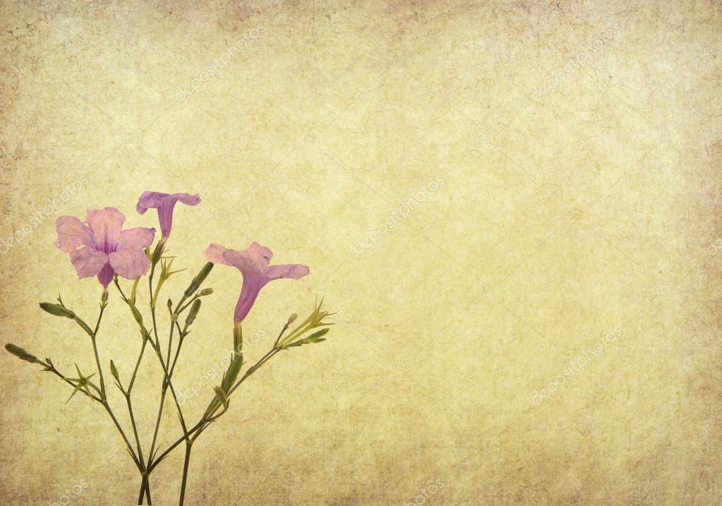 Purple flower on Old antique vintage paper background Stock Photo ...