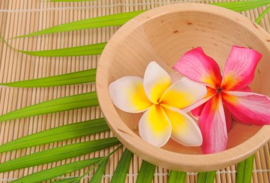 Frangipani ve bambu mat cilalı taş