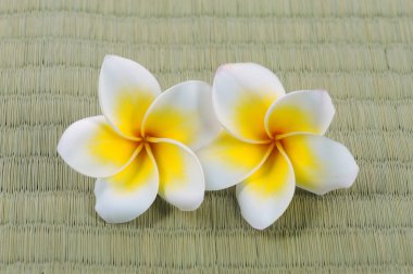 Frangipani ve bambu mat cilalı taş