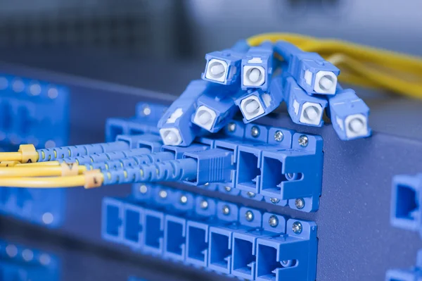 Fibra óptica rede cabos patch painel e interruptor — Fotografia de Stock