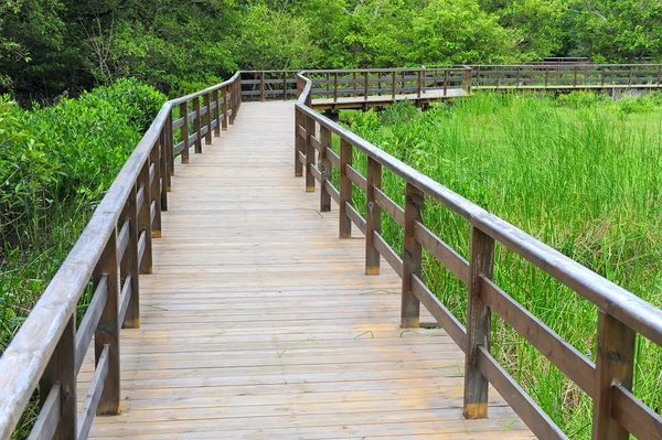 Wood railing on a summer — Stock Photo, Image