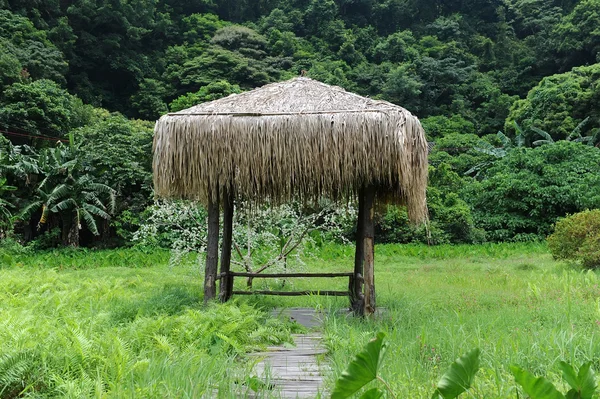 Bungalow in grass — Stock Photo, Image