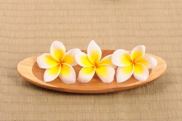 Frangipani e pedra polida em esteira de bambu — Fotografia de Stock