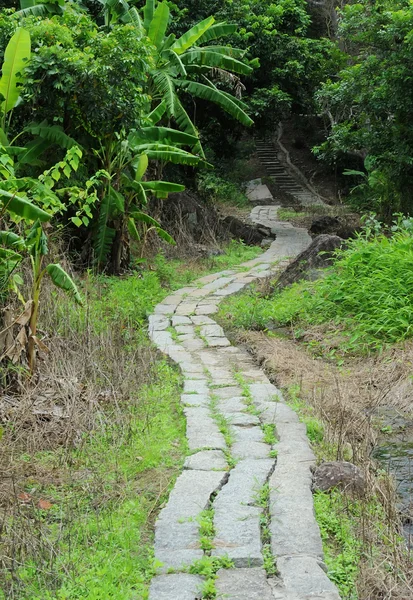 Pasarela de piedra serpenteando en el jardín —  Fotos de Stock