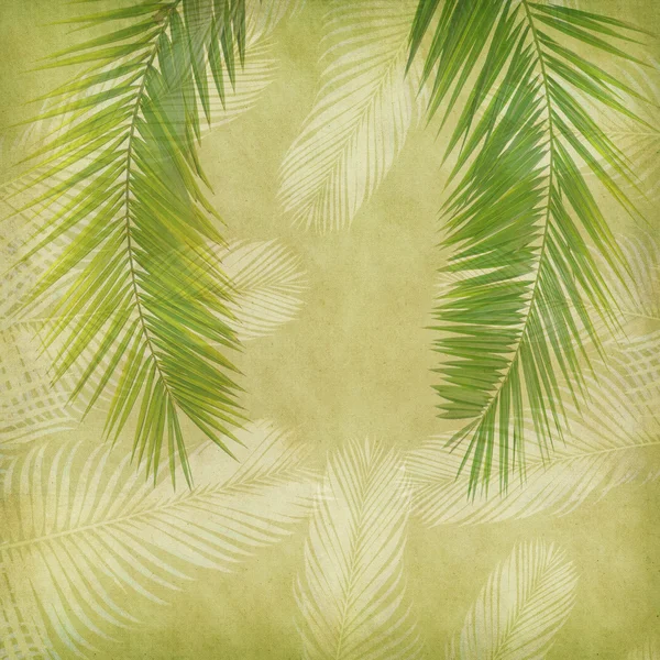 Palm with set of abstract painted background — Stock Photo, Image