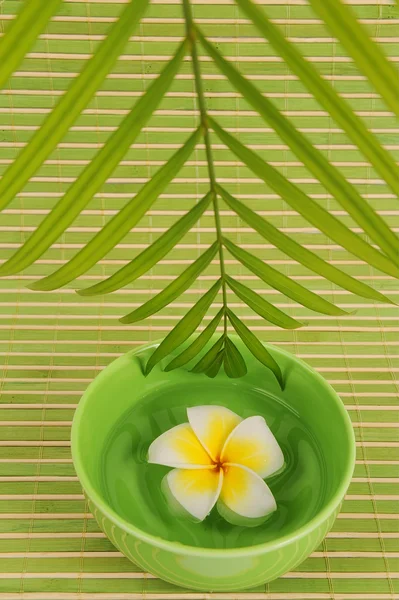 Frangipani and polished stone on bamboo mat — Stock Photo, Image