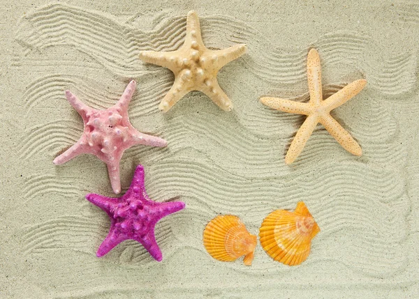 Sea frame with starfishes — Stock Photo, Image