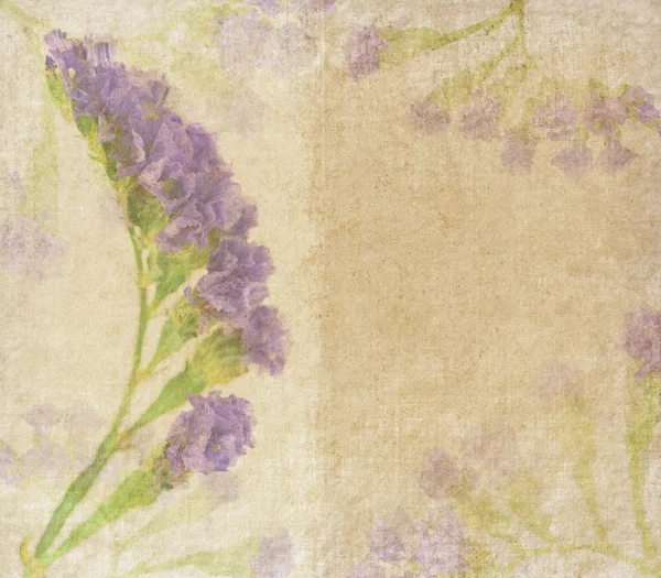 Lavender on paper background — Stock Photo, Image