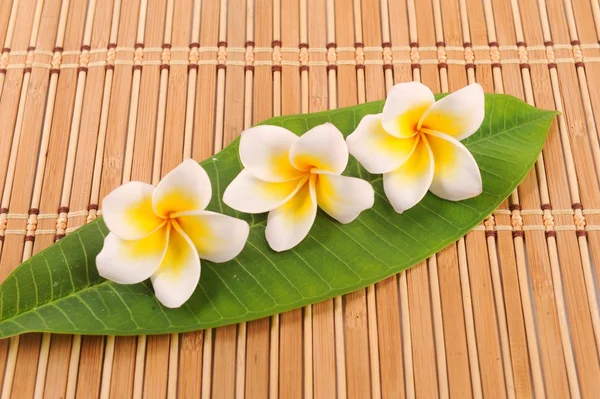 Frangipani and polished stone on bamboo mat — Stock Photo, Image