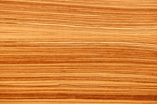 Texturas de madera de árbol — Foto de Stock
