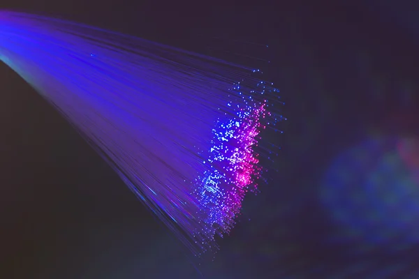 광섬유 광학 네트워크 케이블 — 스톡 사진